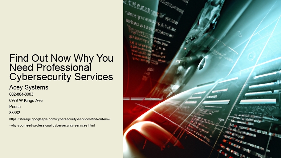 Find Out Now Why You Need Professional Cybersecurity Services