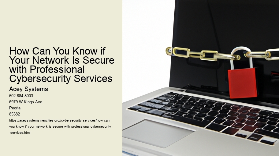 How Can You Know if Your Network Is Secure with Professional Cybersecurity Services