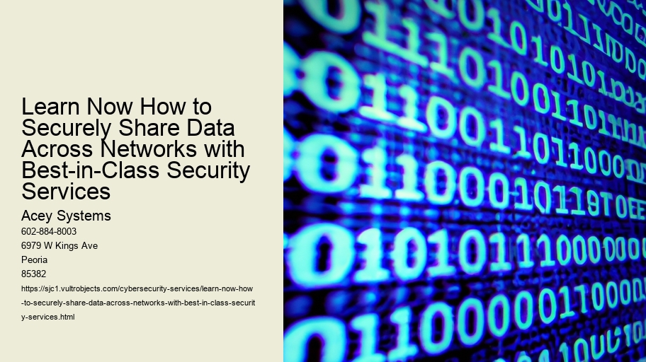 Learn Now How to Securely Share Data Across Networks with Best-in-Class Security Services
