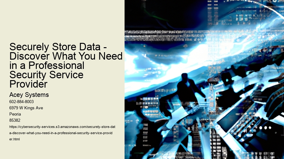Securely Store Data - Discover What You Need in a Professional Security Service Provider