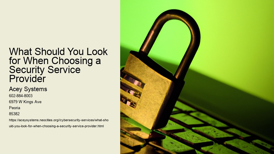What Should You Look for When Choosing a Security Service Provider